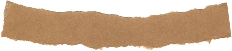 Ripped Paper