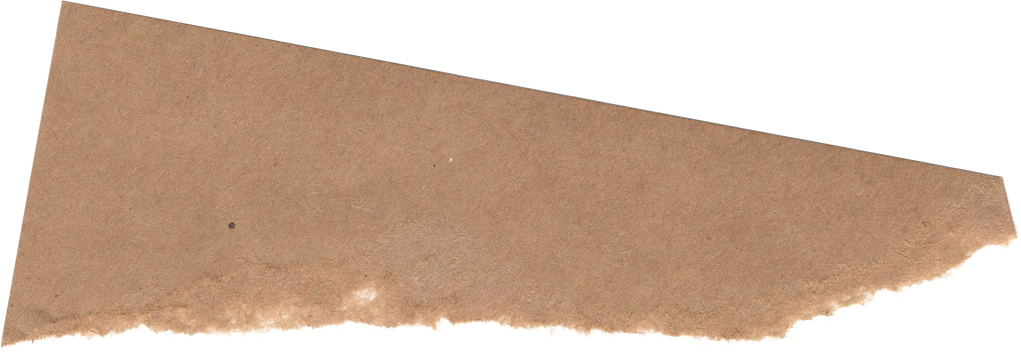 Ripped Paper