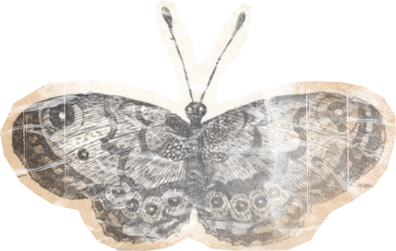 Weathered Historical Butterfly Cut-out